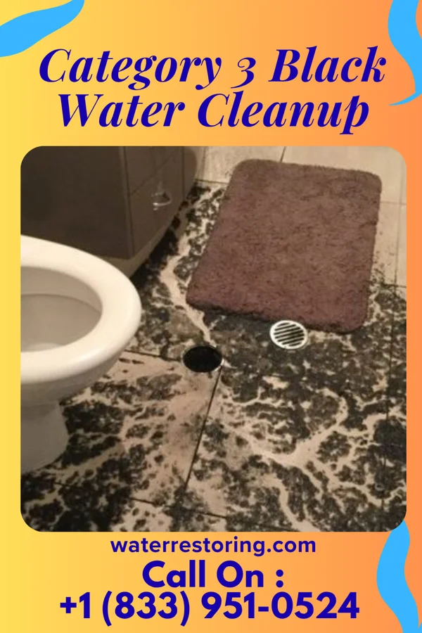 Category 3 Black Water Cleanup in Smartsville, CA