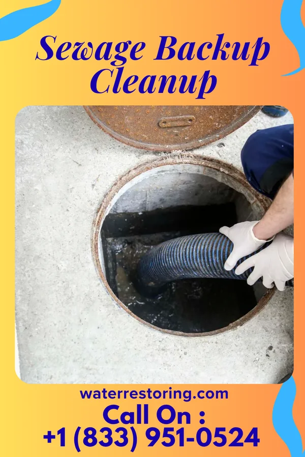 Sewage Backup Cleanup in Smartsville, CA